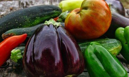Tratamientos para la conservación prolongada de tomate, pimiento y Berenjena