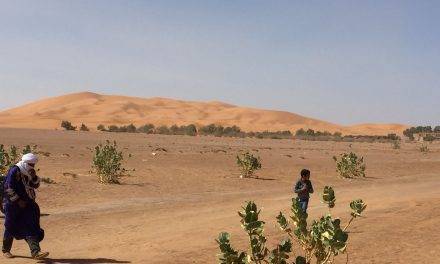 Agricultura sostenible en el desierto