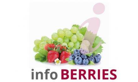 Los pequeños frutos: fresa, arándano, frambuesa, … cereza, higos, kiwi, tomate cherry, olivas