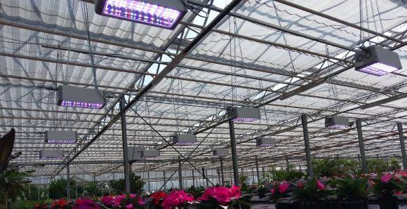 LED sunlight for professional horticulture