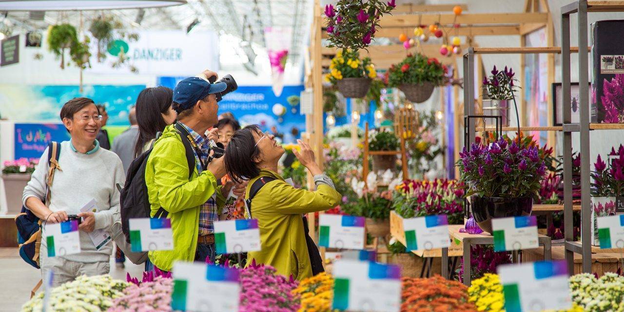 FlowerTrials maintains strong position
