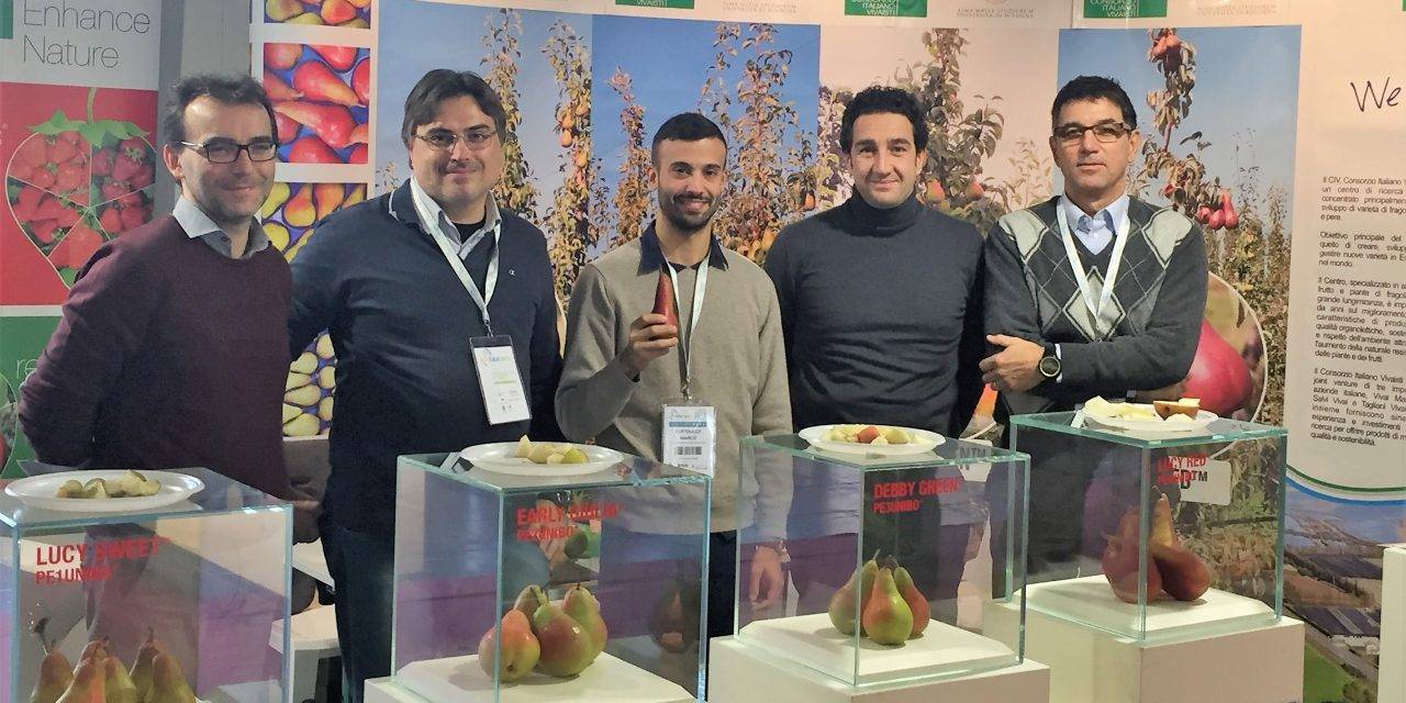 Advanced-stage test pear plantations thanks to the project UniBo University of Bologna – CIV Consorzio Italiano Vivaisti