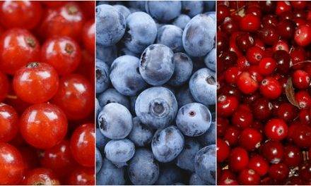 Envasado seguro e inteligente para berries