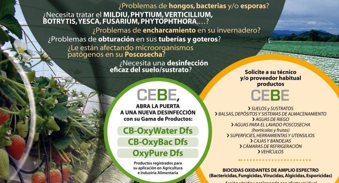 CEBE, Centro de Estudios de Bioseguridad