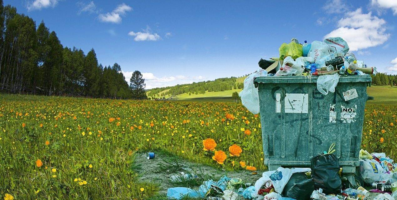 Mantener limpio el campo y reciclar los residuos