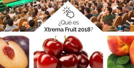 Xtrema Fruit, foro dedicado a la fruta de hueso ecológica en España