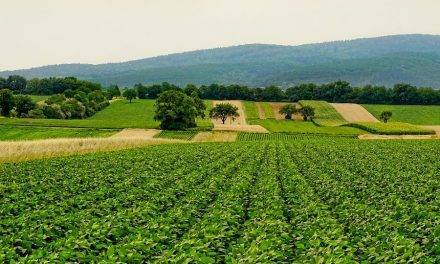 Alianza de organizaciones para una agricultura sostenible