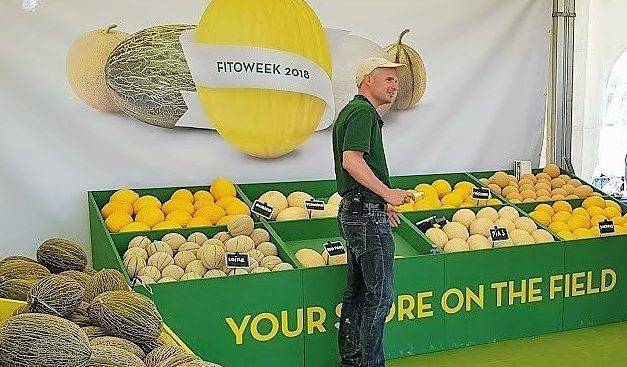 La FitóWeek unos días de campo internacionales para conocer 38 variedades de melón