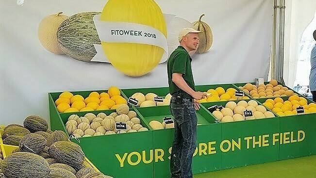 La FitóWeek unos días de campo internacionales para conocer 38 variedades de melón
