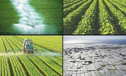 El futuro de la PAC, el medioambiente y el clima, incentivos para los agricultores ( I )