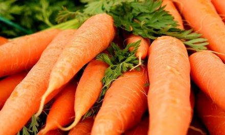 El tratamiento con ozono aumentó la vida útil de las zanahorias sin alterar el porcentaje de pérdida de peso, la firmeza y el color