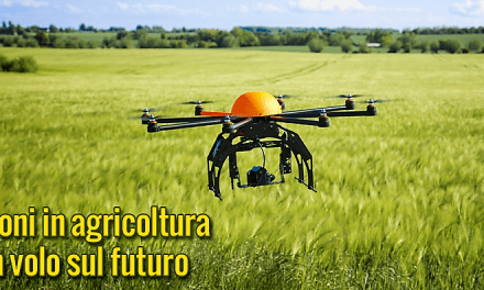 Drones en la agricultura: un vuelo hacia el futuro
