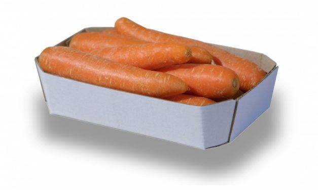 Zanahorias que valen