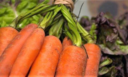 La mejora de la línea de confección aumenta la vida útil de las zanahorias de Abenhardt