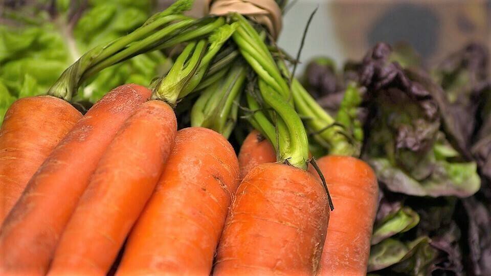 La mejora de la línea de confección aumenta la vida útil de las zanahorias de Abenhardt