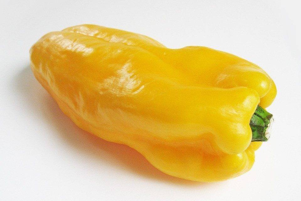 Postharvest UV-C light treatment reduces Rhizopus decay in yellow bell pepper