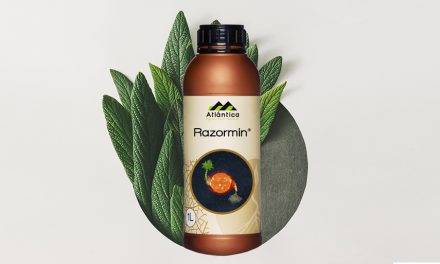 Razormin, un bioestimulante para hortalizas