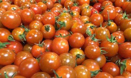 Envasado de tomates de ULMA Packaging