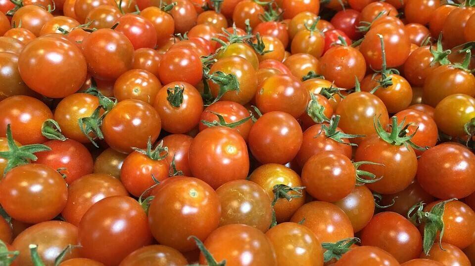 Envasado de tomates de ULMA Packaging