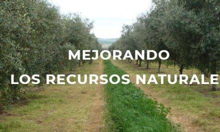 Agricultura de conservación y pérdidas de suelo fértil