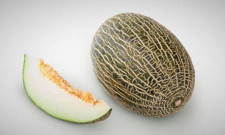 Variedades de éxito en melones piel de sapo: Paredes, Ceferino y Arroyo