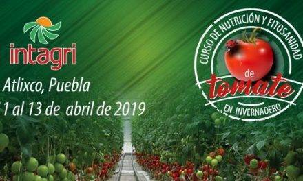 Curso de nutrición y fitosanidad de tomate en invernadero en México
