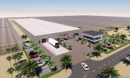 Large-scale 44 hectares greenhouse vegetable complex in Saudi Arabia