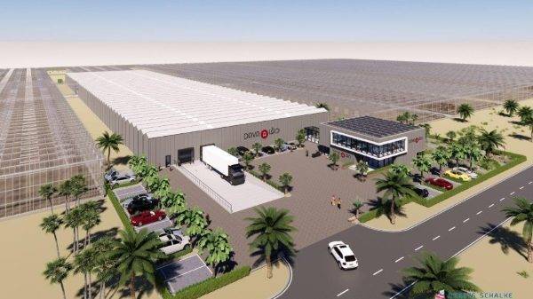 Large-scale 44 hectares greenhouse vegetable complex in Saudi Arabia
