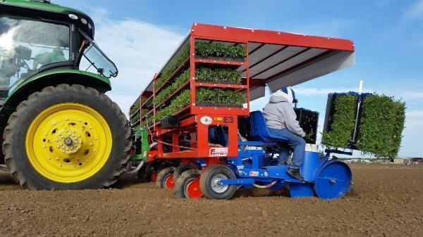 Ferrari: Transplanter F-MAX is fitting for planting several crops