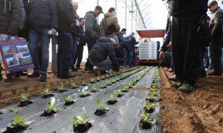 Demostraciones en el campo: exposición de mecanización hortícola y seminarios en hortalizas