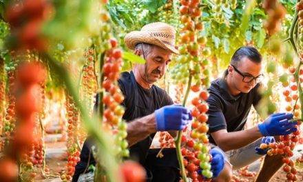México: GreenTech mostrará tecnología y soluciones en agricultura protegida