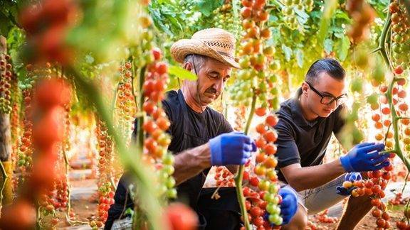 México: GreenTech mostrará tecnología y soluciones en agricultura protegida