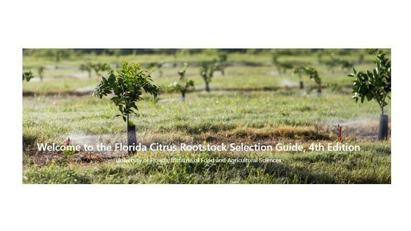 4th Edition of the Florida Citrus Rootstock Selection Guide