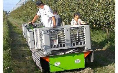 Ecogreen Italia presenta su línea Helpy, una plataforma eléctrica para recolección, poda y transporte de frutas