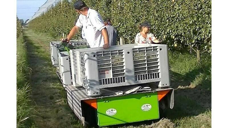 Ecogreen Italia presenta su línea Helpy, una plataforma eléctrica para recolección, poda y transporte de frutas