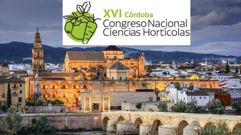 El XVI Congreso de la SECH se celebrará en Córdoba en 2021