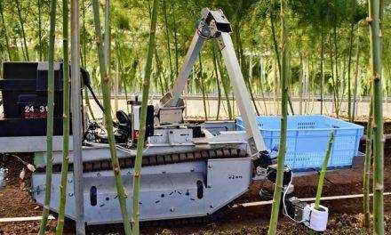 Empresa japonesa desarrolla robot autónomo para recolección de verduras en invernadero