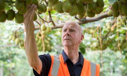 Award for the scientist developing the popular Zespri™ SunGold™ Kiwifruit
