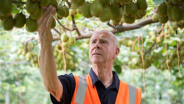 Award for the scientist developing the popular Zespri™ SunGold™ Kiwifruit