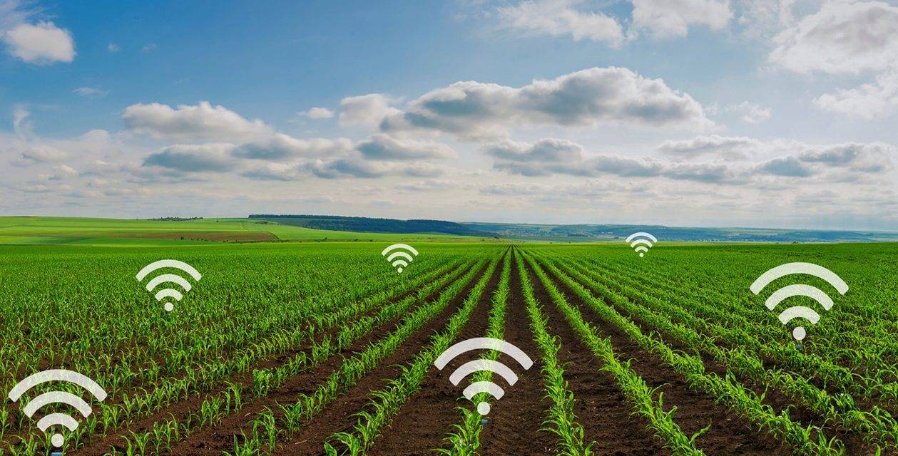 La utilización de Internet en agricultura moderna
