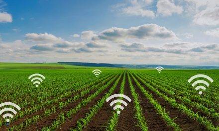 La utilización de Internet en agricultura moderna