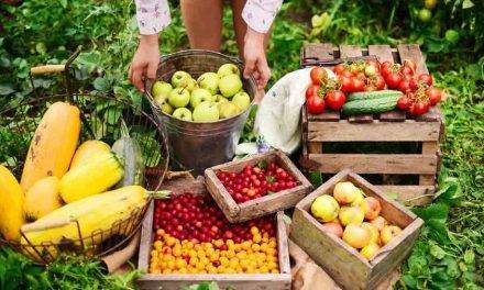 Diversificar la fruticultura española, una meta posible