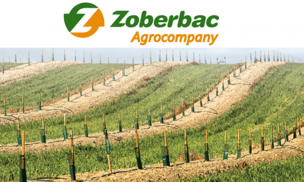 Zoberbac: protección y nutrición para tus cultivos
