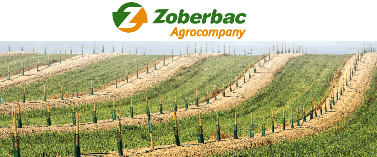 Zoberbac: protección y nutrición para tus cultivos