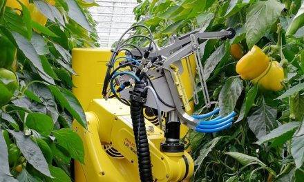 Robots diseñados para la agricultura del futuro