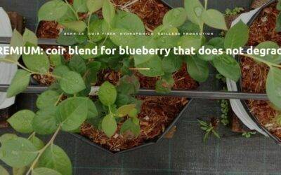 Coir blend for blueberry that does not degrade