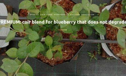 Coir blend for blueberry that does not degrade