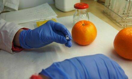Los “marcadores moleculares” revolucionan el sector citrícola