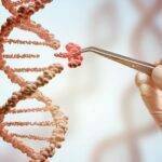Comisión Europea: publicado el estudio sobre nuevas técnicas genómicas
