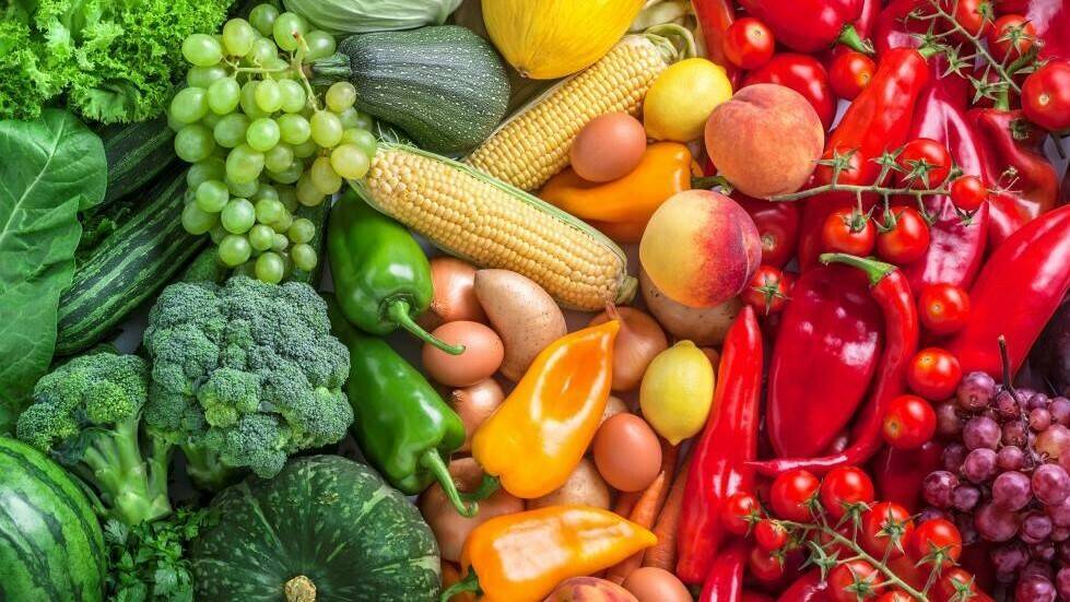 La importancia de la investigación en el sector hortofrutícola